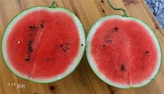 身边吃瓜,揭秘娱乐圈幕后故事