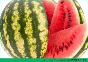 有瓜天天吃,有瓜天天吃的快乐生活