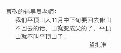 吃骚瓜群文案,一场别开生面的美食之旅