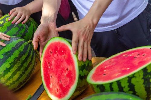 学校吃瓜实拍,揭秘校园里的那些“秘密”瞬间