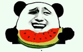 吃瓜梗来源的视频,视频背后的故事与笑料